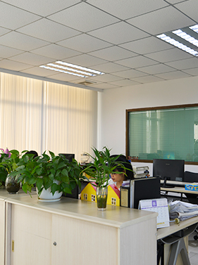 產(chǎn)品開(kāi)發(fā)實(shí)力 產(chǎn)品開(kāi)發(fā)實(shí)力